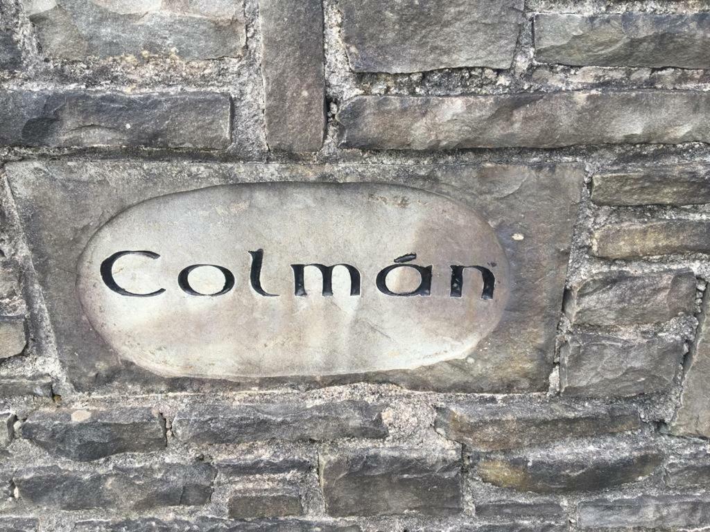 Bed and Breakfast Colman House Kilmihil Exterior foto